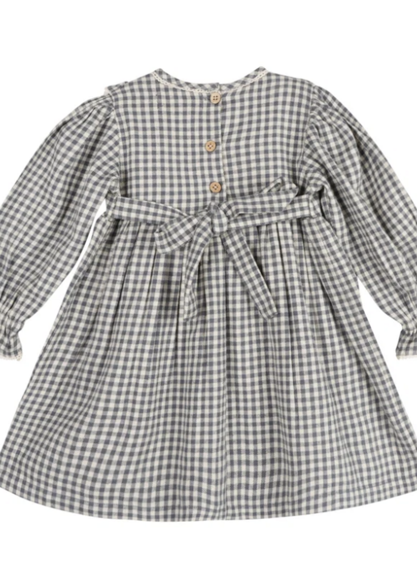 Larili Blue Harmony Gingham Dress