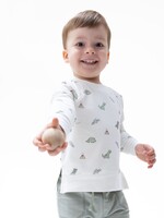Angel Dear Dinos French Terry Raglan Sweatshirt