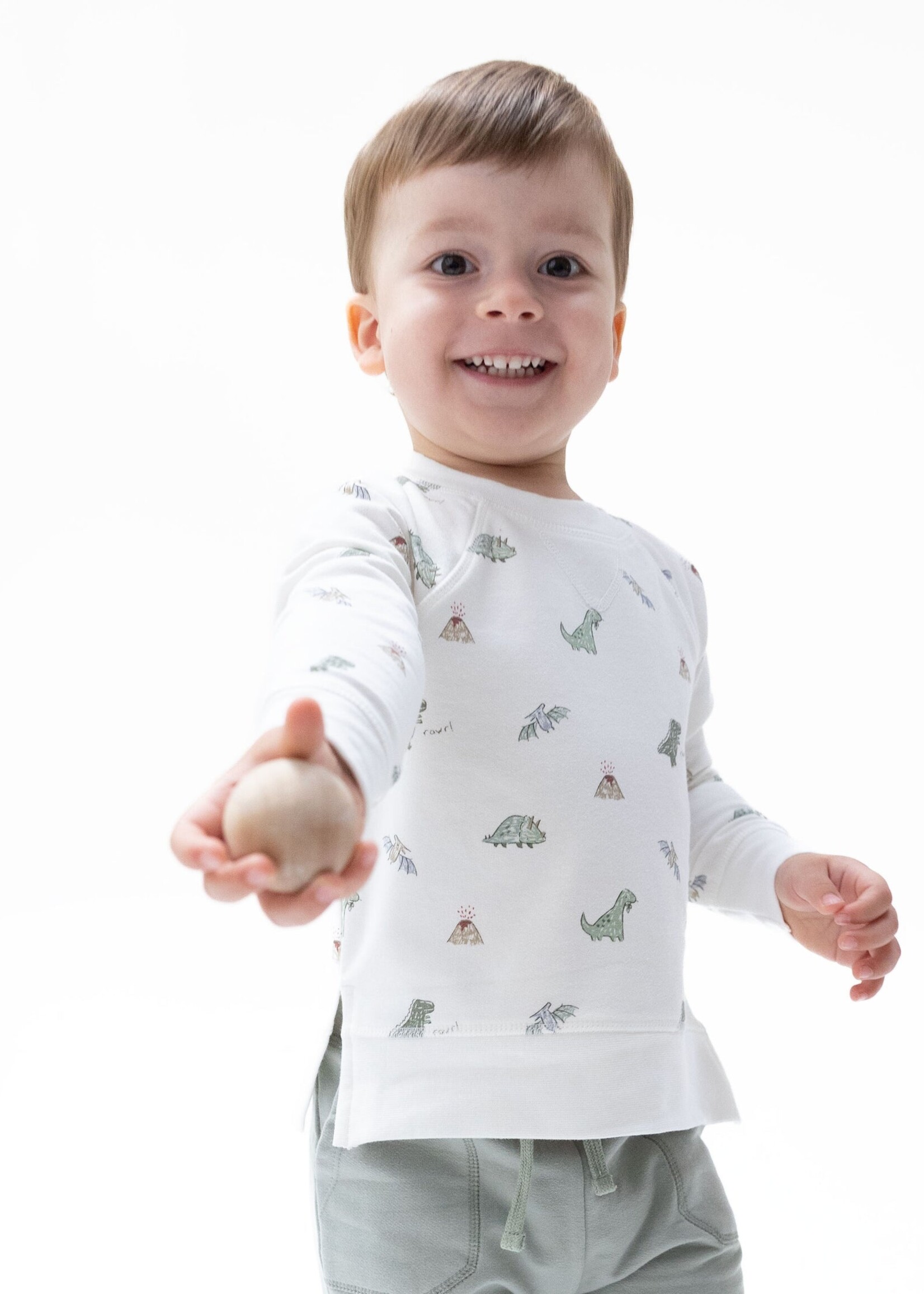 Angel Dear Dinos French Terry Raglan Sweatshirt