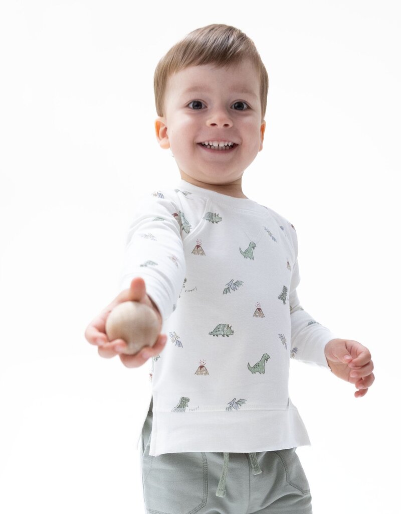 Angel Dear Dinos French Terry Raglan Sweatshirt