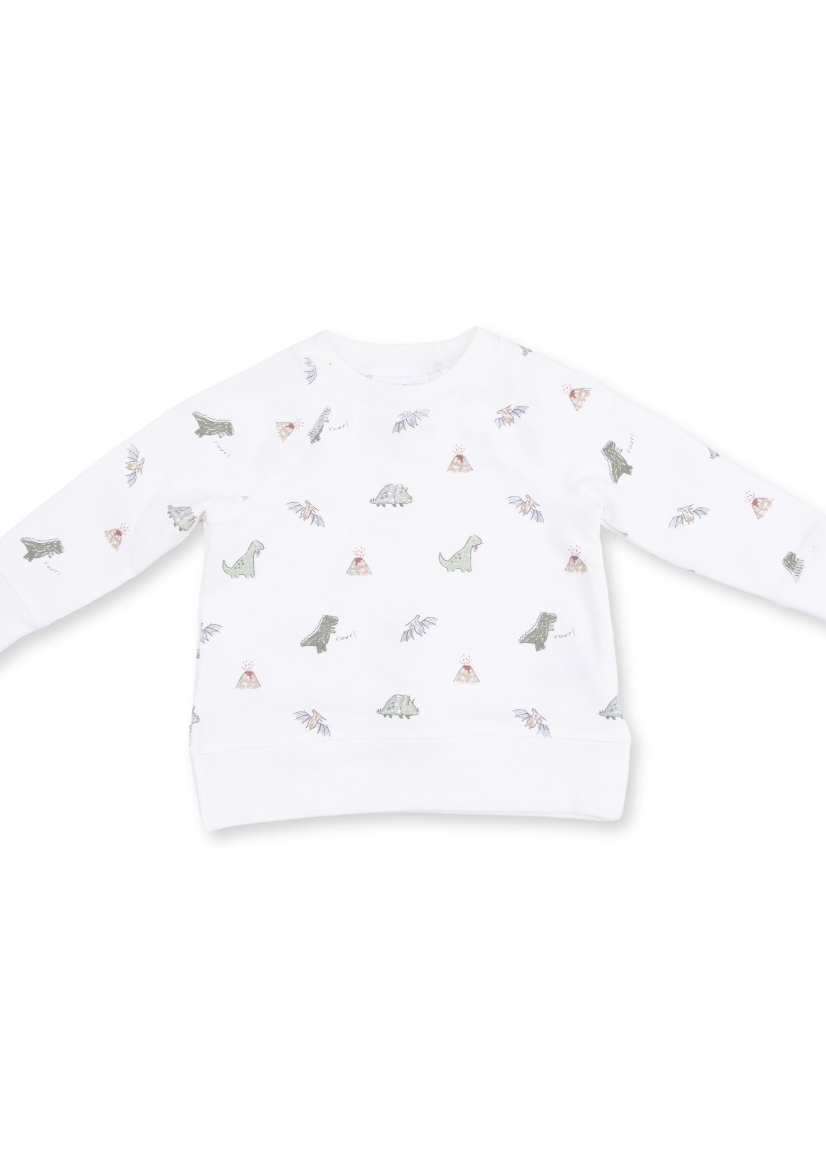 Angel Dear Dinos French Terry Raglan Sweatshirt