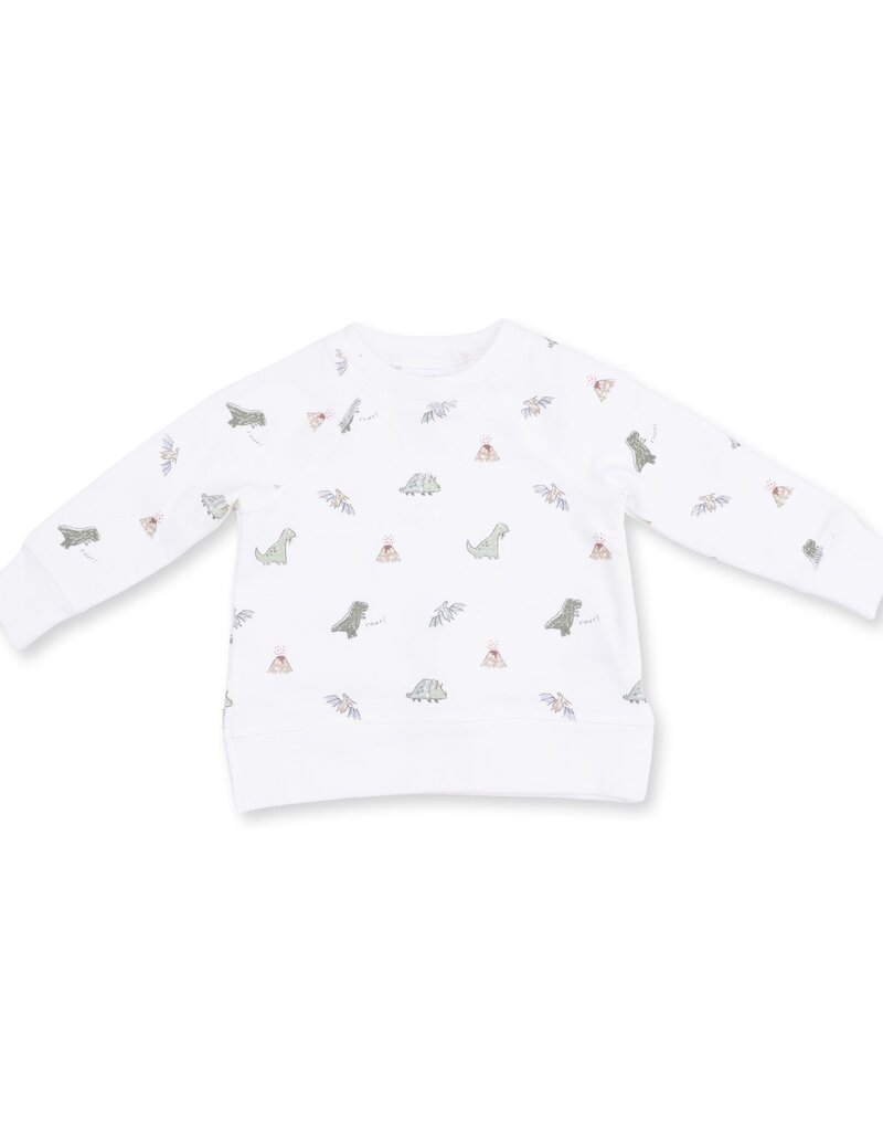 Angel Dear Dinos French Terry Raglan Sweatshirt