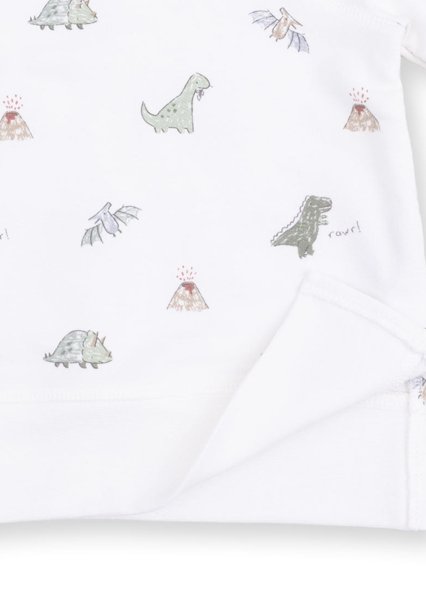 Angel Dear Dinos French Terry Raglan Sweatshirt