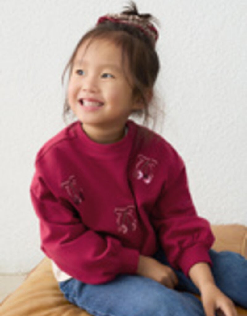 Mayoral Embroidered Pullover w/Cherries
