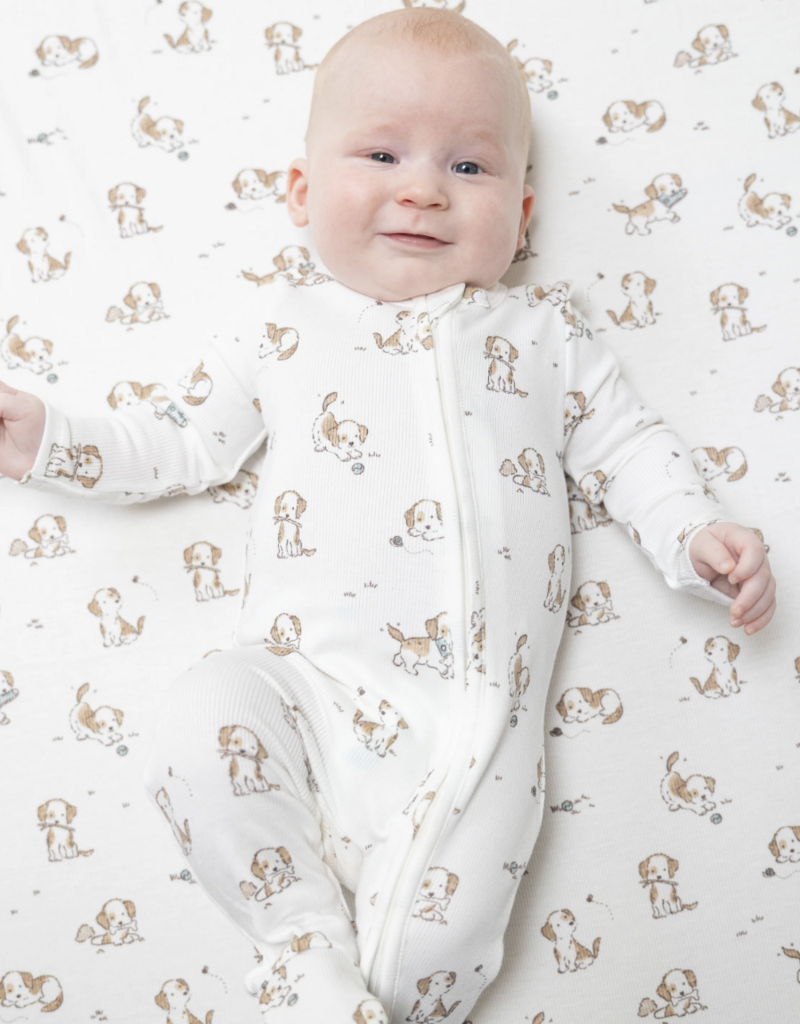 Angel Dear Explorer Puppy Blue 2 Way Zipper Footie
