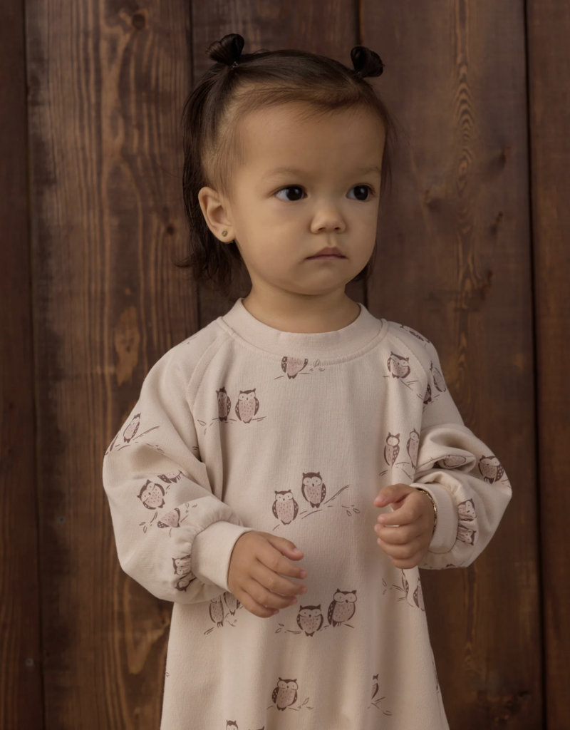 Rylee + Cru LLC RAGLAN JUMPSUIT OWLS PETAL
