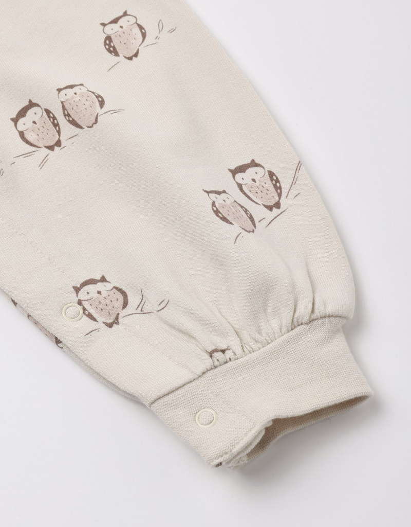 Rylee + Cru LLC RAGLAN JUMPSUIT OWLS PETAL