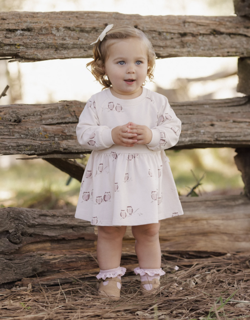 Rylee + Cru LLC RAGLAN DRESS OWLS PETAL