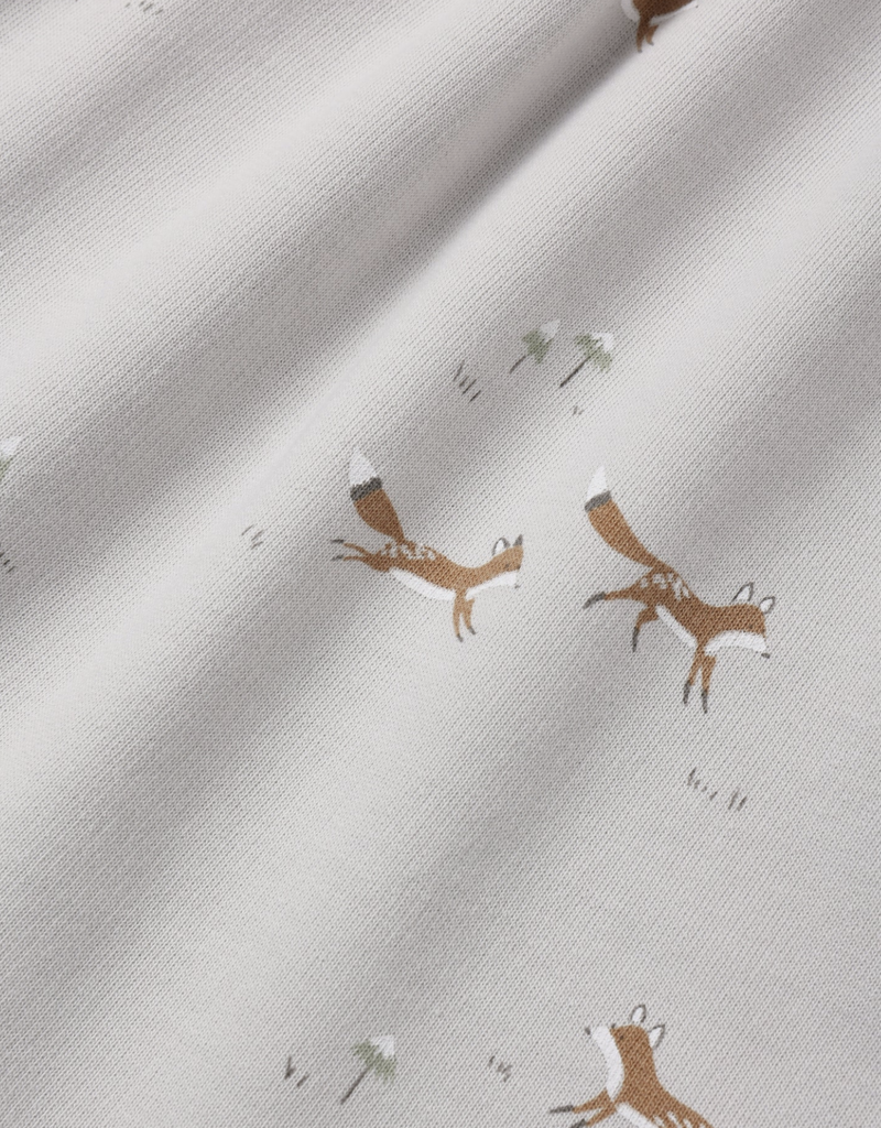 Rylee + Cru LLC RAGLAN DRESS FOXES FOG