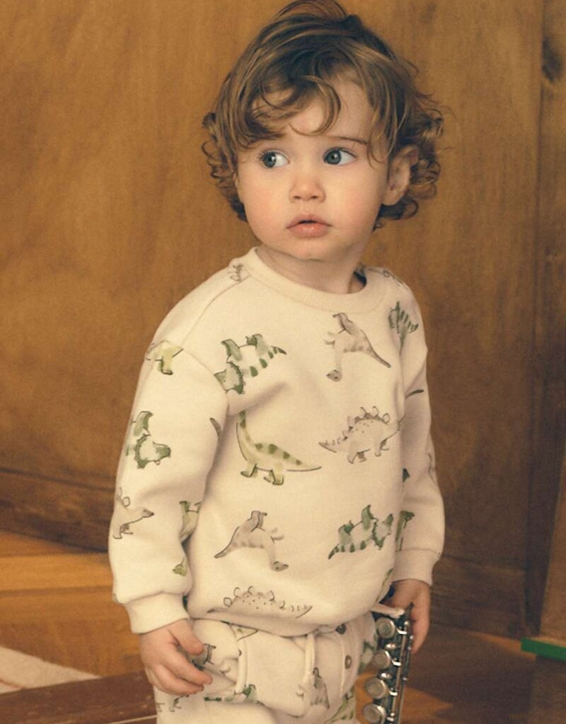 Mayoral Dino Patterned Pullover
