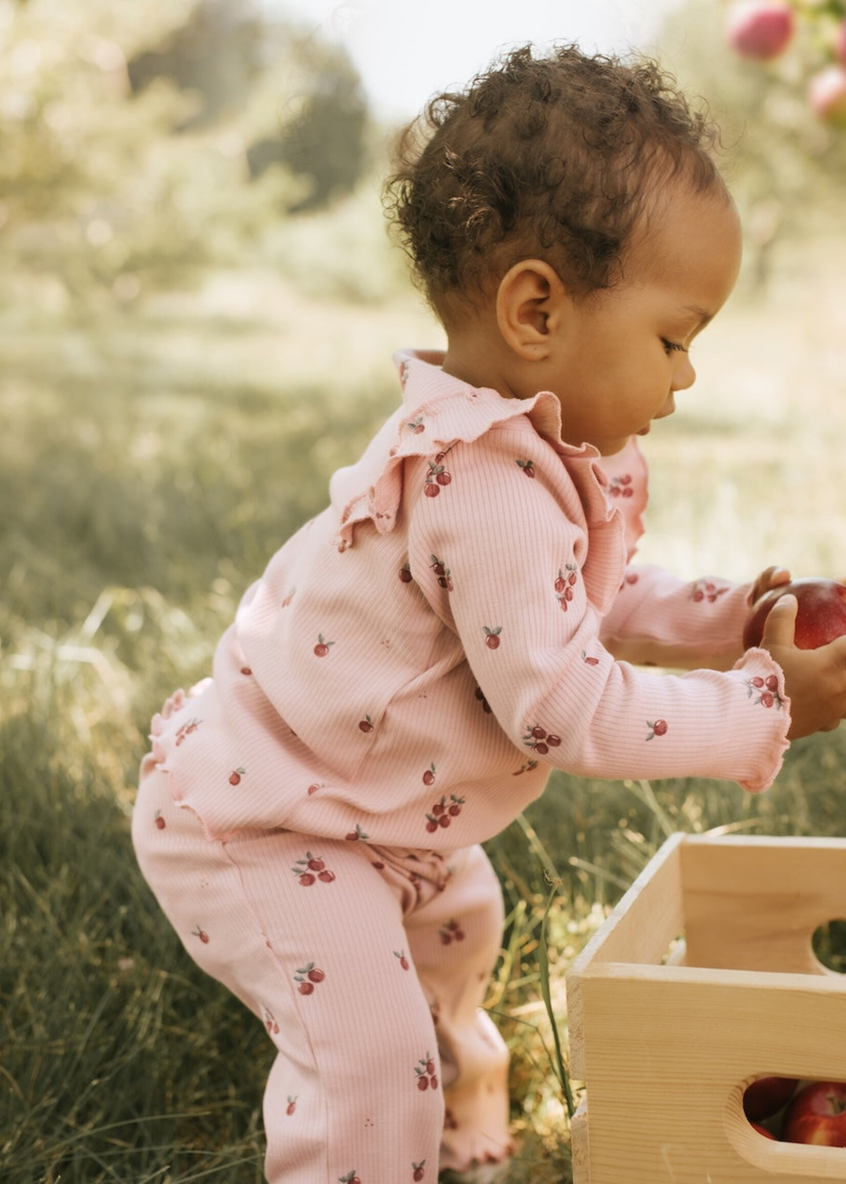 Petit Lem 2PC SET TOP + PANT KNIT PINK Tiny Apples