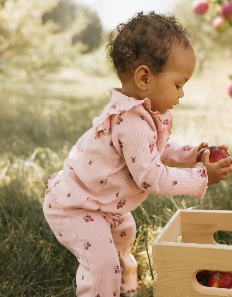 Petit Lem 2PC SET TOP + PANT KNIT PINK Tiny Apples