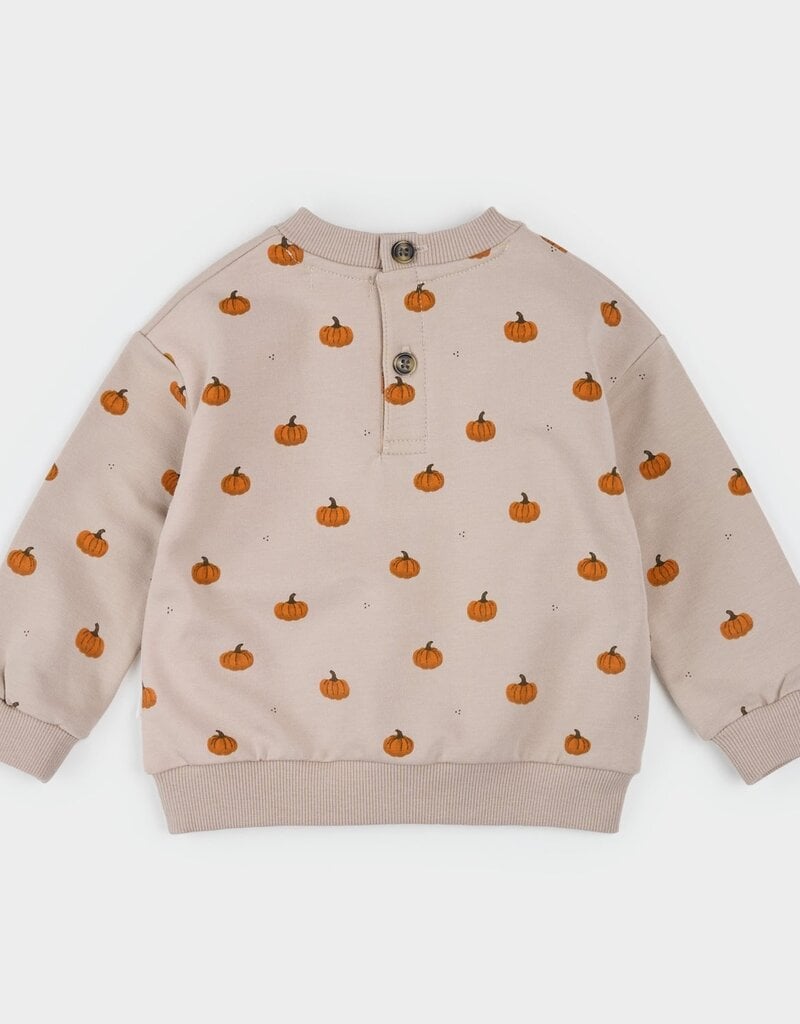 Petit Lem 2PC SET TOP + PANT KNIT Pumpkin Print