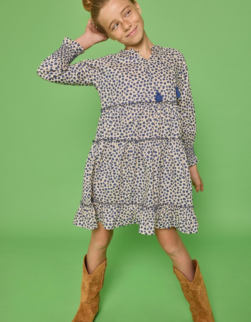 Bisby Shannon Dress - Lucerne Floral