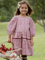 Pink Chicken girls maribelle dress - burgundy climbing floral