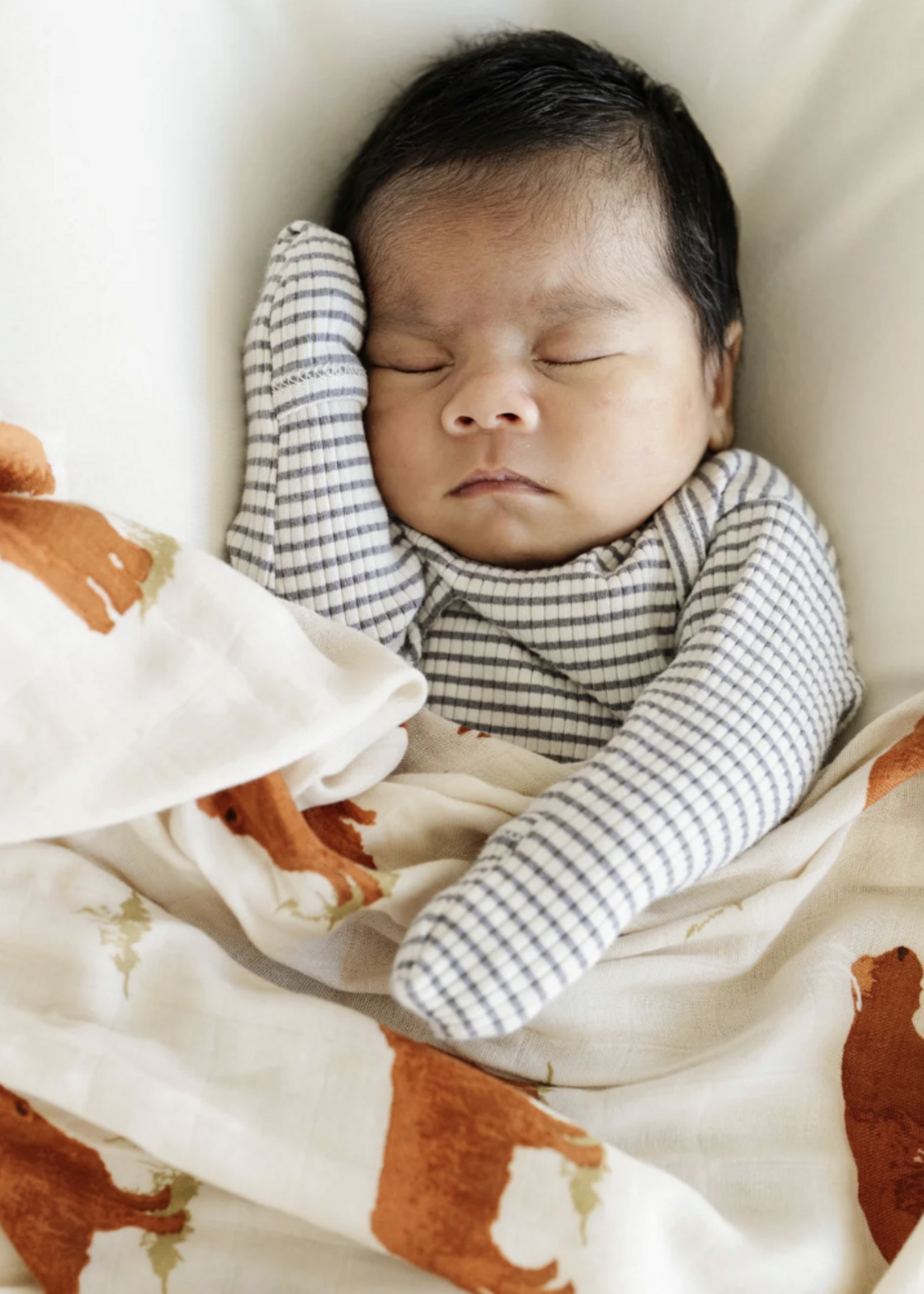 Saranoni Bamboo Rayon Muslin Swaddles Highland Cow