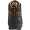 Danner Vicious 4.5" Comp. Toe