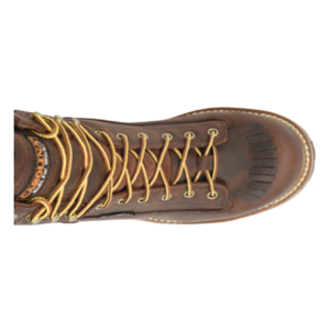 Carolina Spruce 8" Waterproof Logger Brown