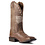 Ariat Women's Circuit Patriot