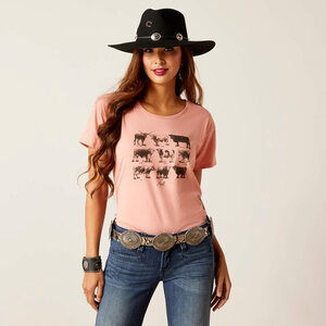 Ariat Women's Cow Chart Short Sleeve Tee