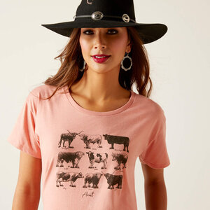 Ariat Women's Cow Chart Short Sleeve Tee