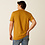 Ariat Men's Ariat Amigo Tee