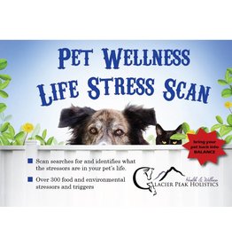 Glacier Peak Holistics Pet Wellness Life Stress Scan