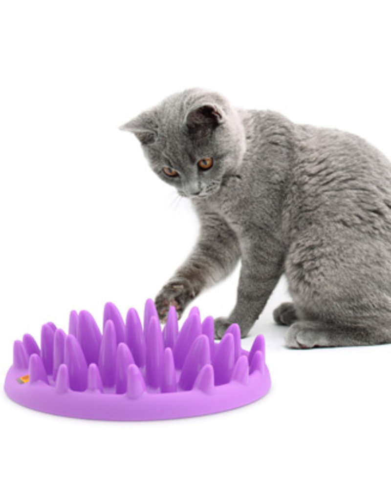 Coa Cat Catch Interactive Slow Feeder Pet In The City