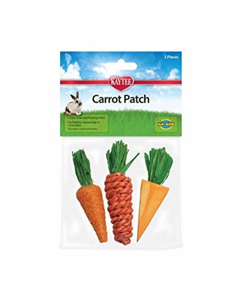 KayTee Carrot Patch Chew Toy