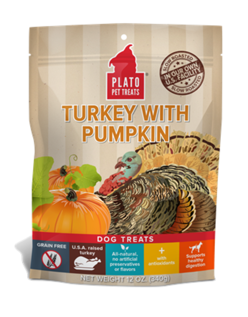 Turkey W Pumpkin Treat 12oz Pet In The City