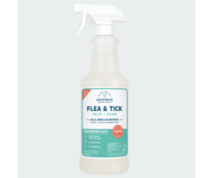 Cedarwood flea spray hot sale