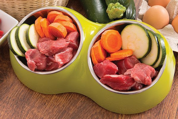 Diet for Senior Pets and it's Role in Disease Prevention