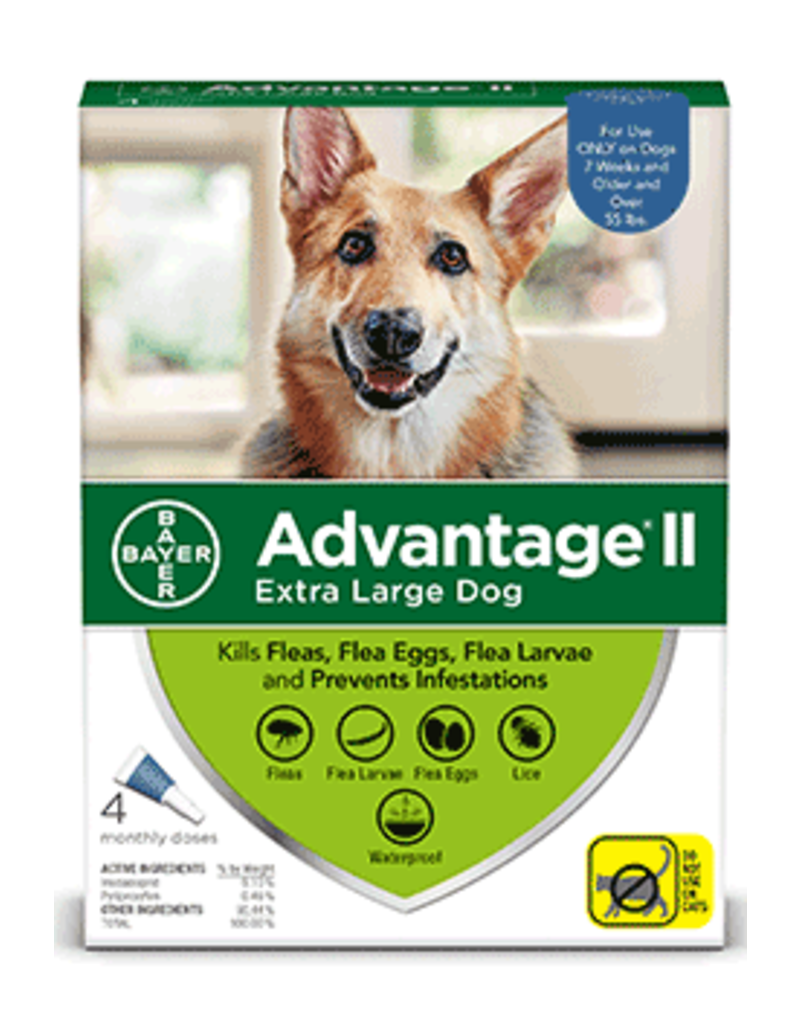 bayer advantage ii