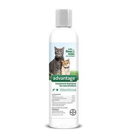 Bayer Advantage Flea & Tick Treatment Shampoo - Cat & Kitten - 8oz
