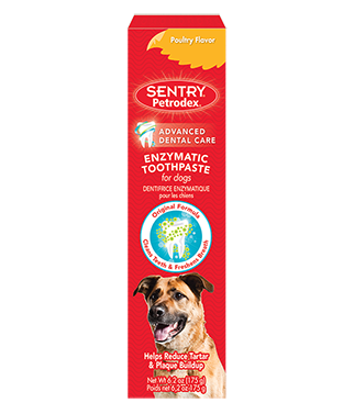 sentry petrodex enzymatic toothpaste