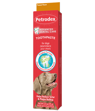 Regular toothpaste for dogs deals
