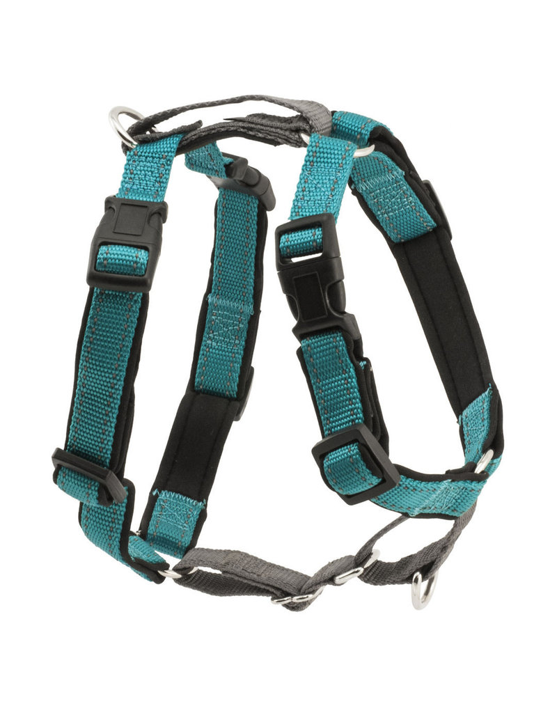 3 in 1 Harness