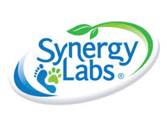 Synergy Labs