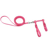 Coastal Cat Harness & Leash