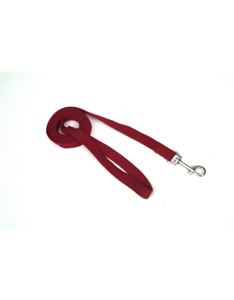 Coastal New Earth Soy Leash