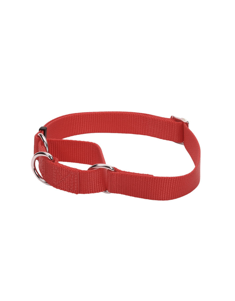 Coastal No Slip! Martingale Collar