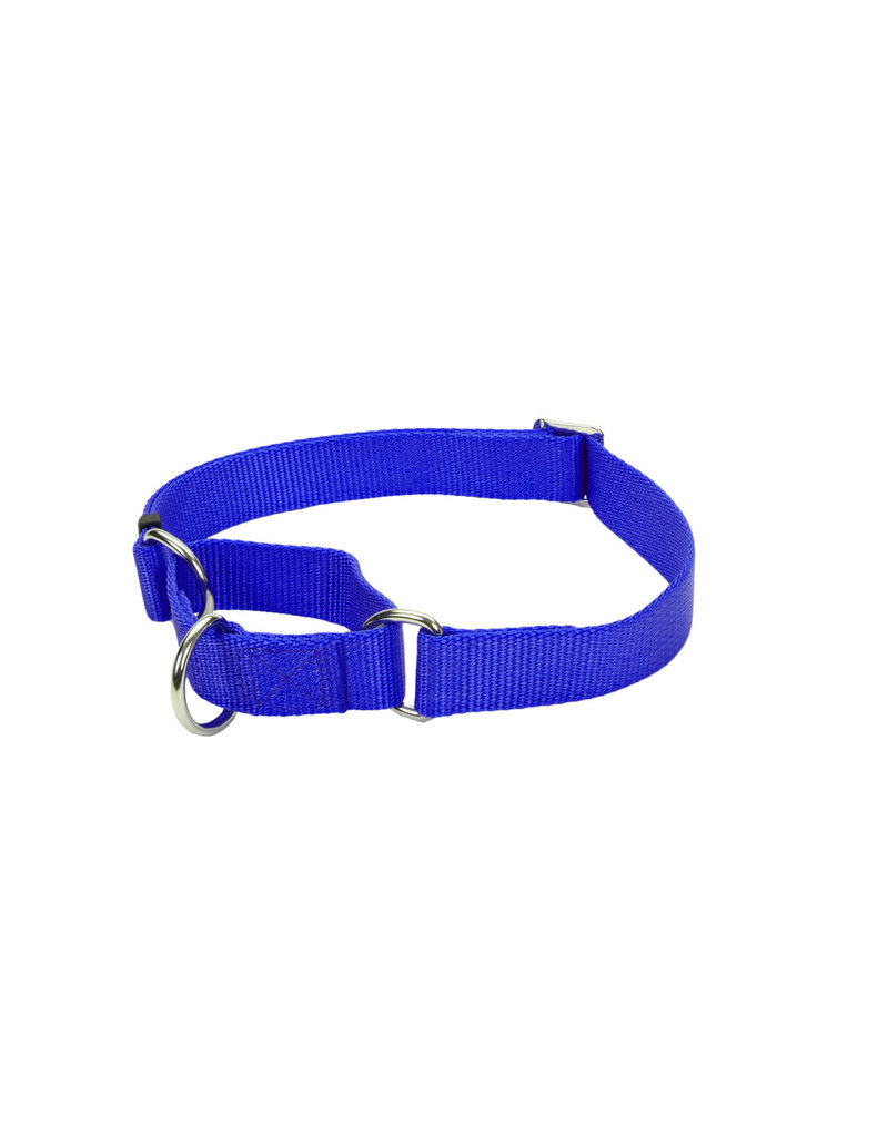 Coastal No Slip! Martingale Collar