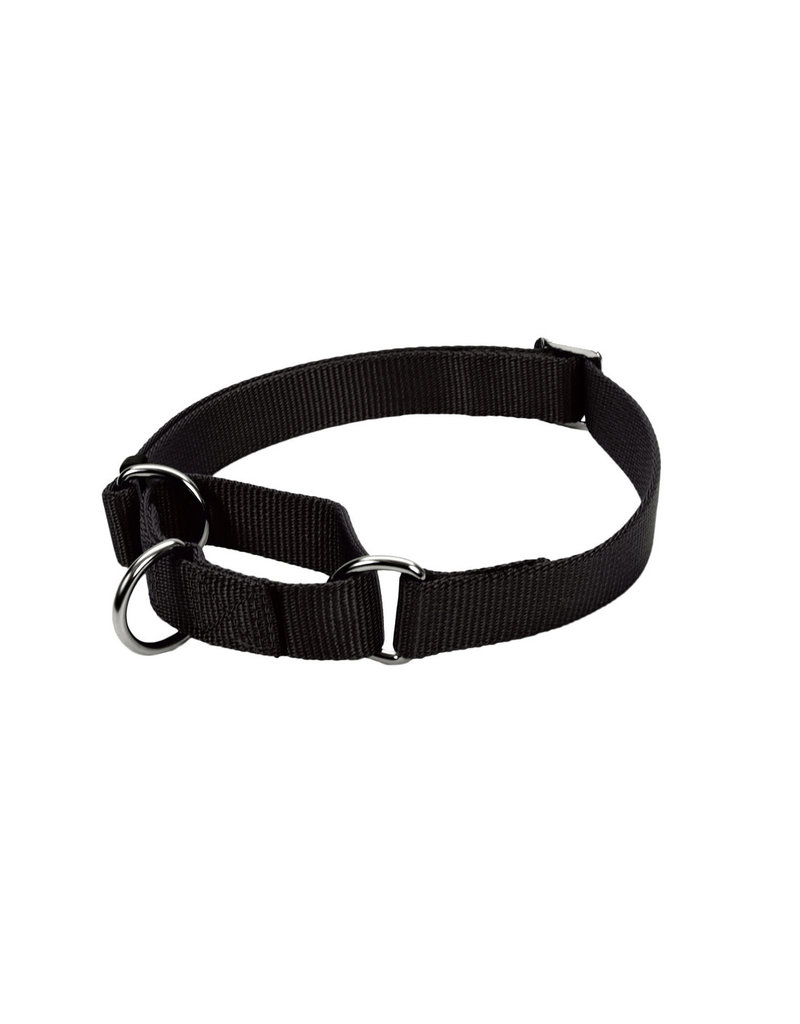 Coastal No Slip! Martingale Collar