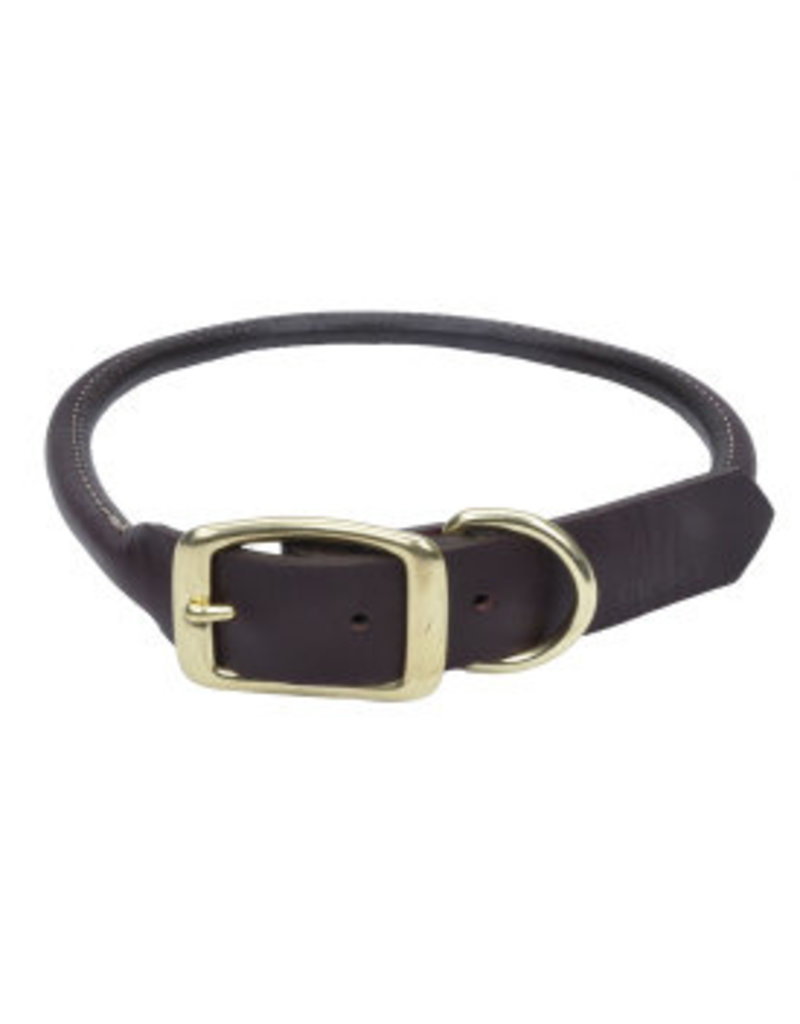 Coastal Leather Round Collar with Brass Hardware