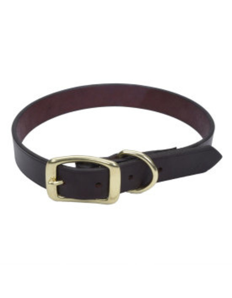 Coastal Leather Town Collar with Brass Hardware