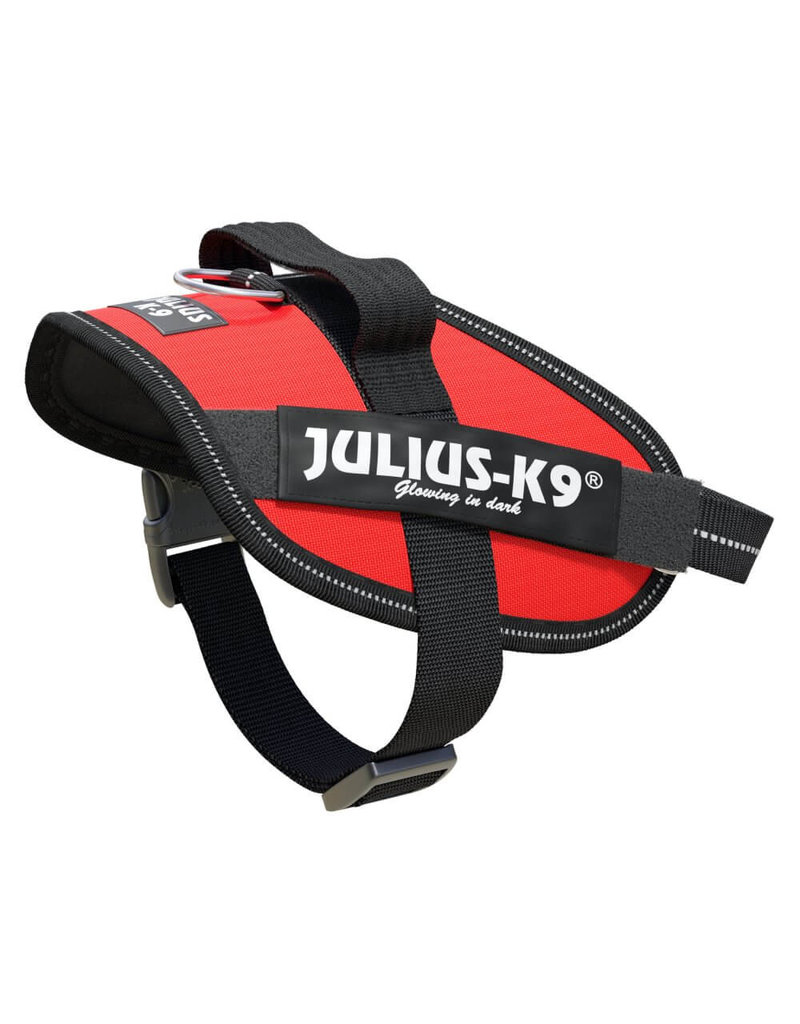 Julius-K9 IDC-Powerharness