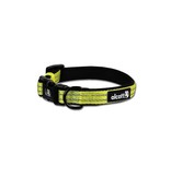 Alcott Adventure Collar