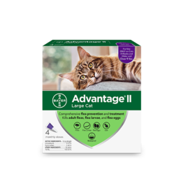 Bayer Advantage II for Cats