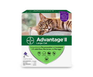 Advantage 2 large cat 4 pack store