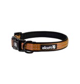 Alcott Adventure Collar